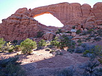 dscn0479.jpg