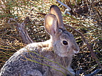 dscn0487.jpg