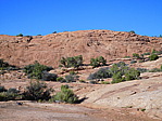 dscn0493.jpg