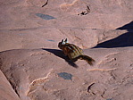 dscn0501.jpg