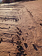 dscn0521.jpg