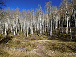 dscn0551.jpg