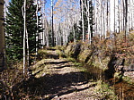 dscn0556.jpg
