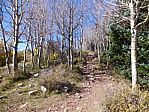 dscn0562.jpg