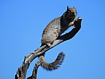 dscn0571.jpg