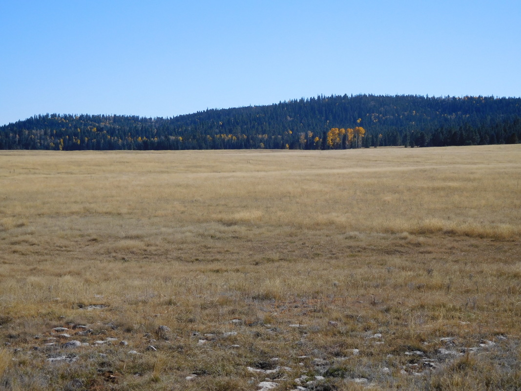 dscn0658.jpg