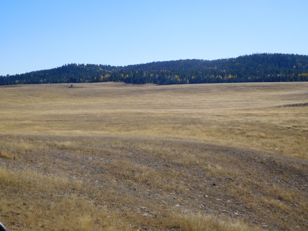 dscn0661.jpg
