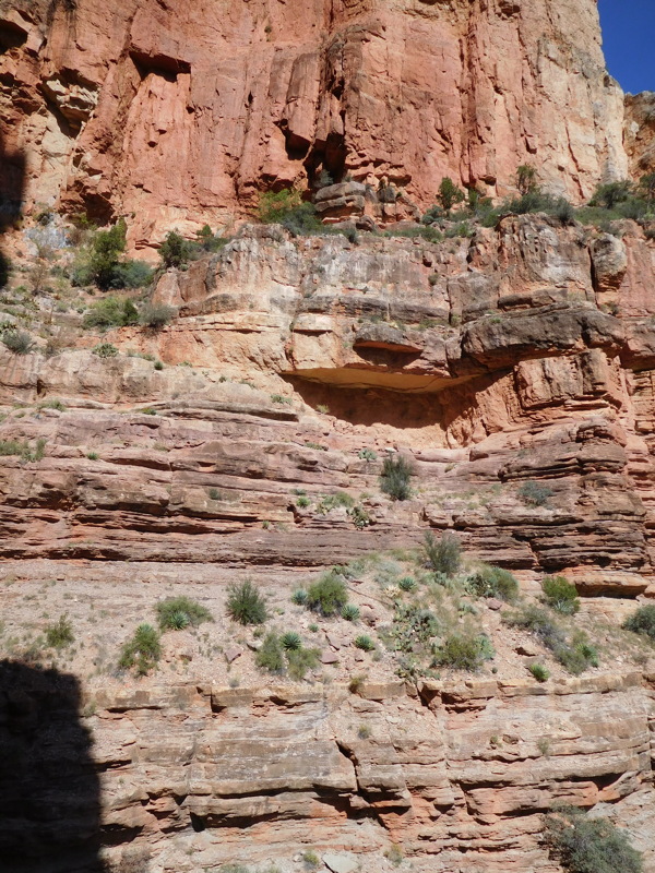 dscn0684.jpg