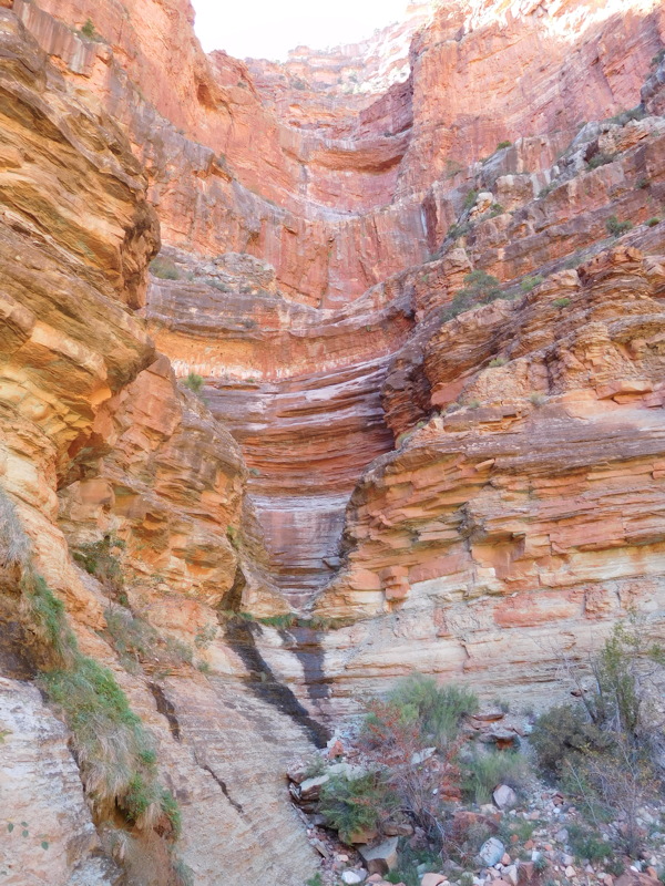 dscn0706.jpg