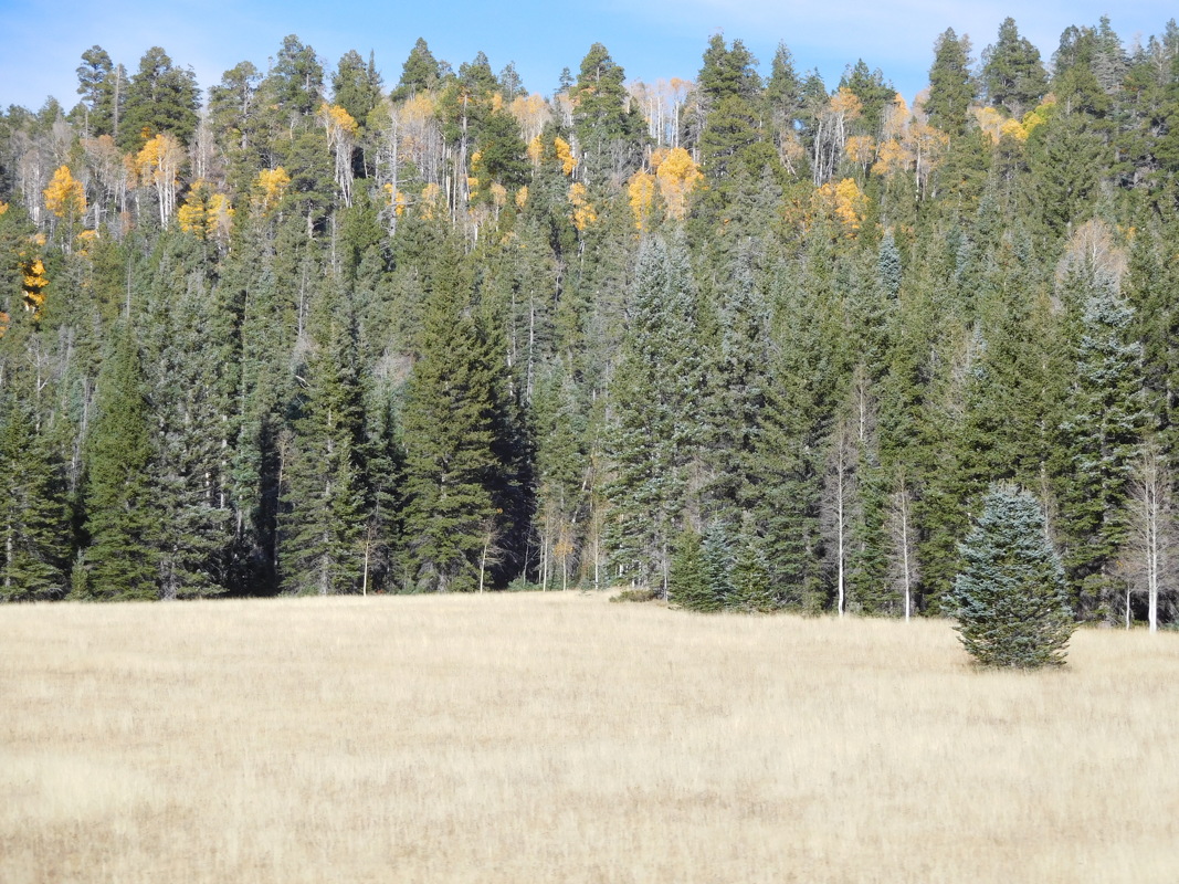 dscn0730.jpg