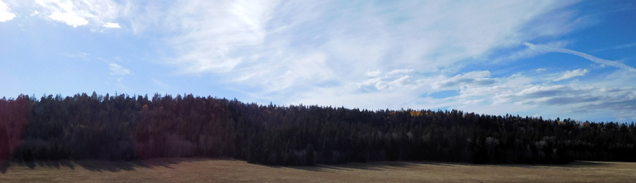 Streifen