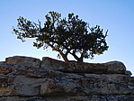 dscn0671.jpg