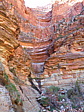 dscn0706.jpg