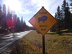dscn0723.jpg
