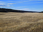 dscn0725.jpg