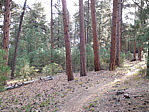 dscn0754.jpg