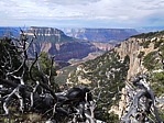 dscn0764.jpg