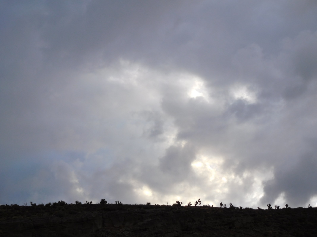 dscn0794.jpg