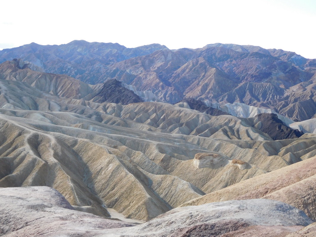 dscn0819.jpg