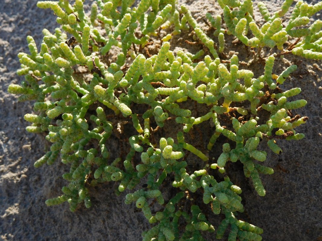 dscn0892.jpg