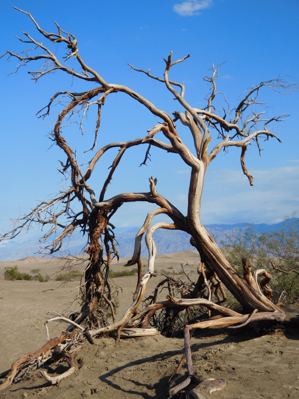 dscn0898.jpg