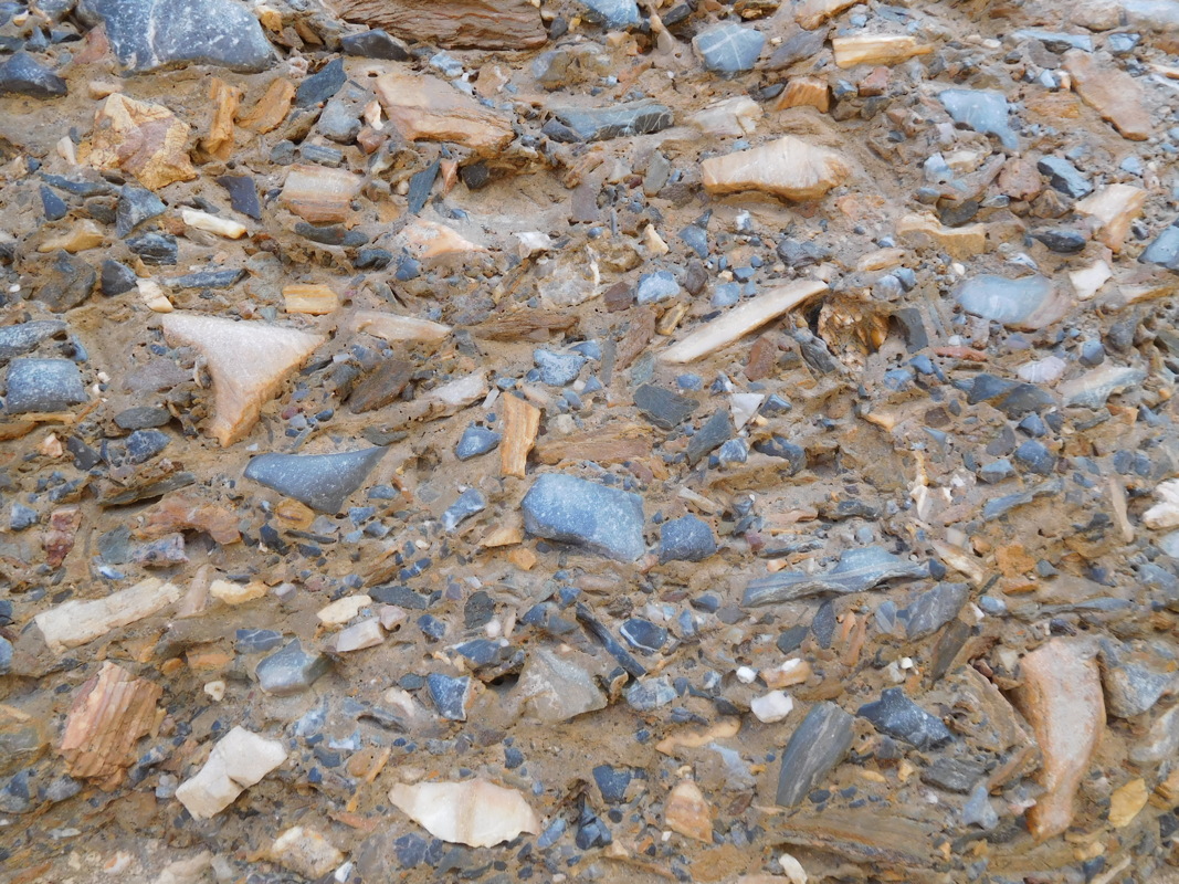 dscn0930.jpg