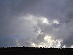 dscn0794.jpg
