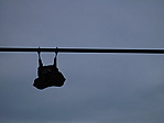 dscn0808.jpg
