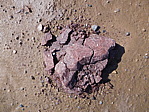 dscn0834.jpg
