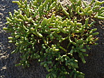 dscn0892.jpg