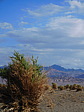 dscn0894.jpg