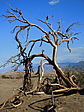 dscn0898.jpg