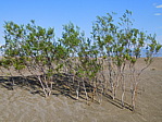dscn0902.jpg