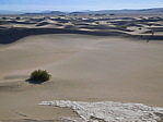 dscn0905.jpg