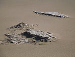 dscn0910.jpg
