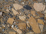 dscn0915.jpg