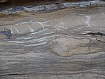 dscn0917.jpg