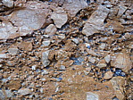 dscn0924.jpg