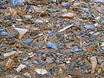 dscn0930.jpg
