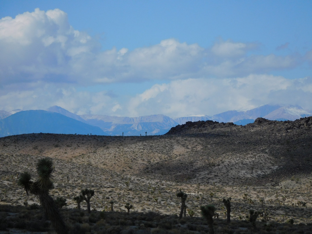 dscn0973.jpg