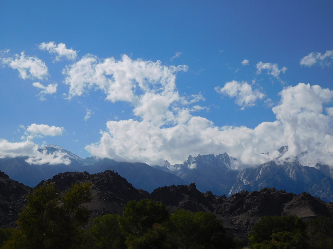 dscn0983.jpg