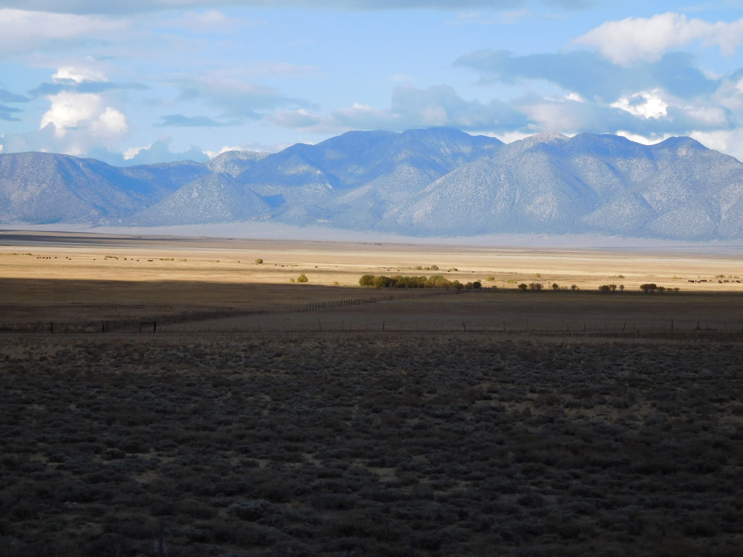 dscn0989.jpg