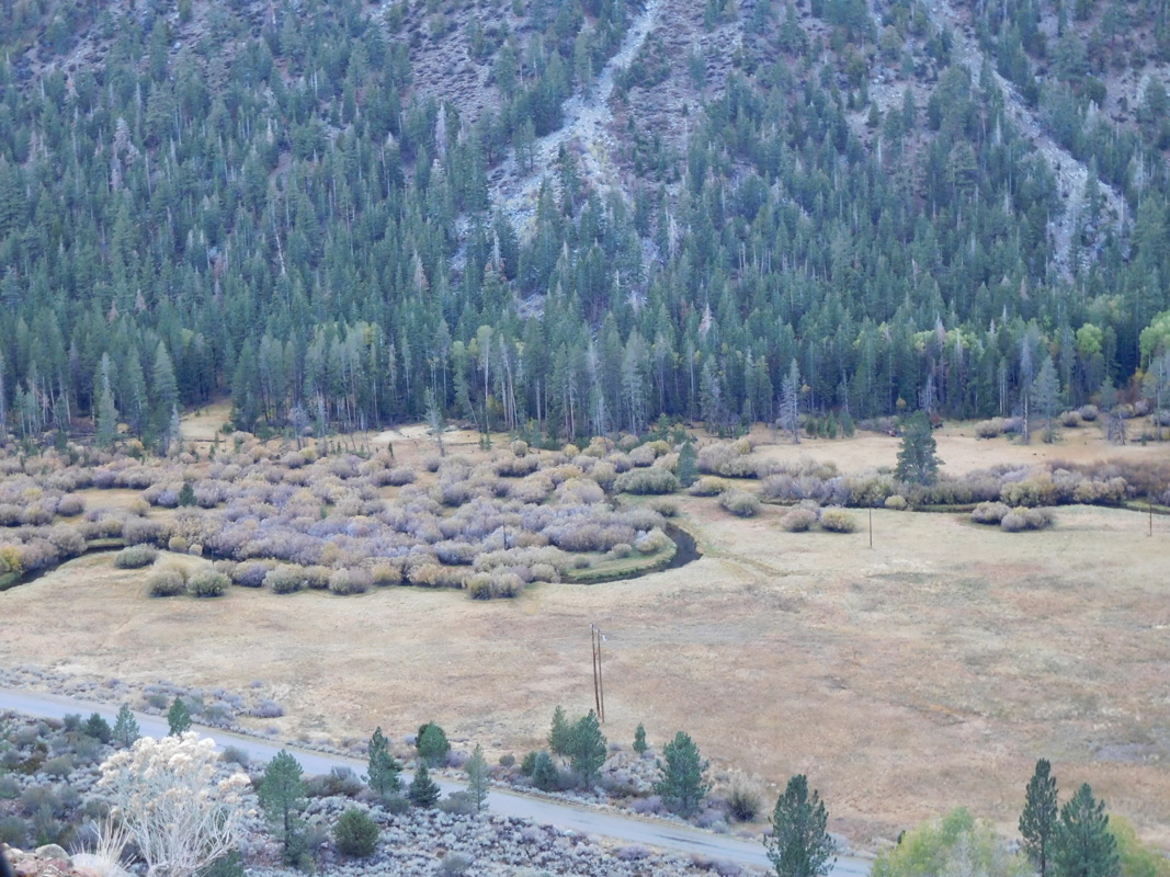 dscn1022.jpg