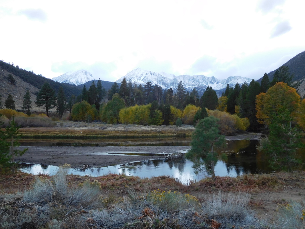dscn1031.jpg
