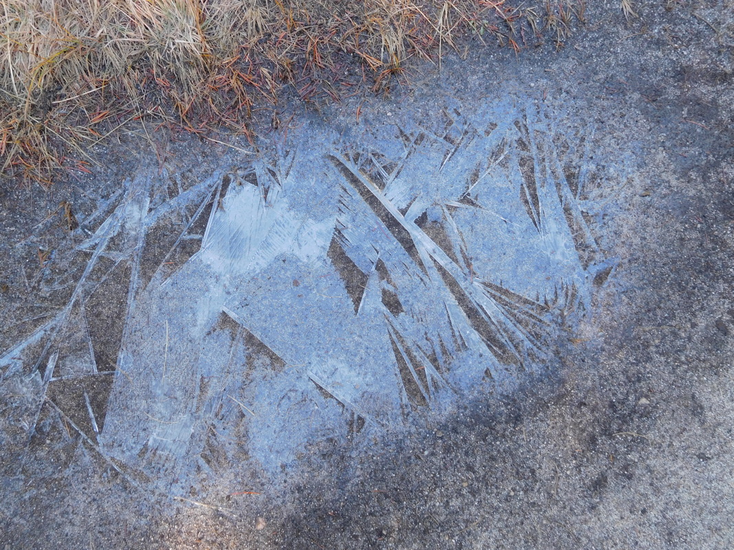 dscn1050.jpg