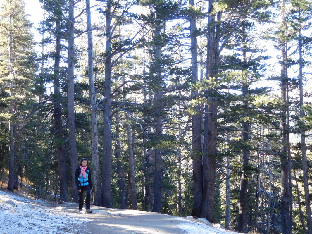 dscn1052.jpg