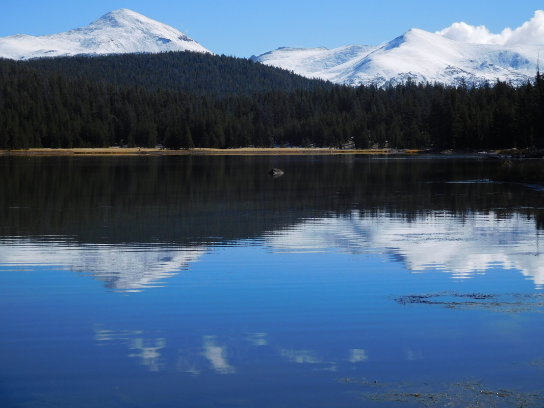 dscn1058.jpg