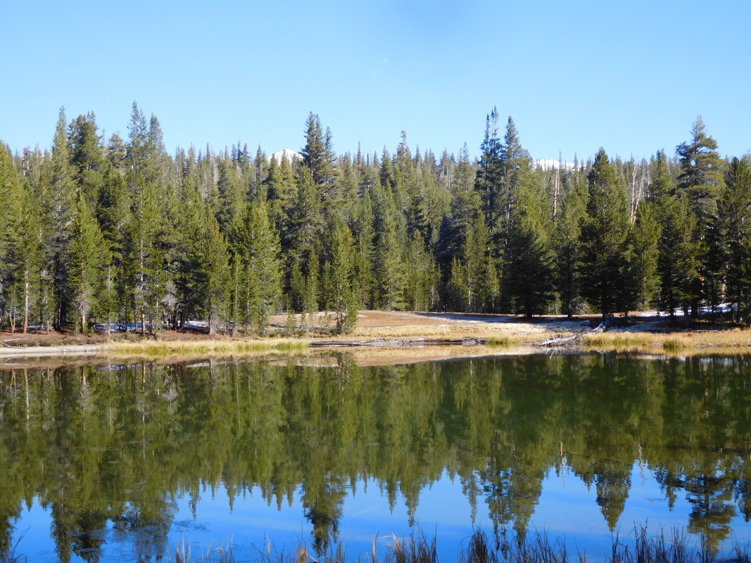 dscn1062.jpg