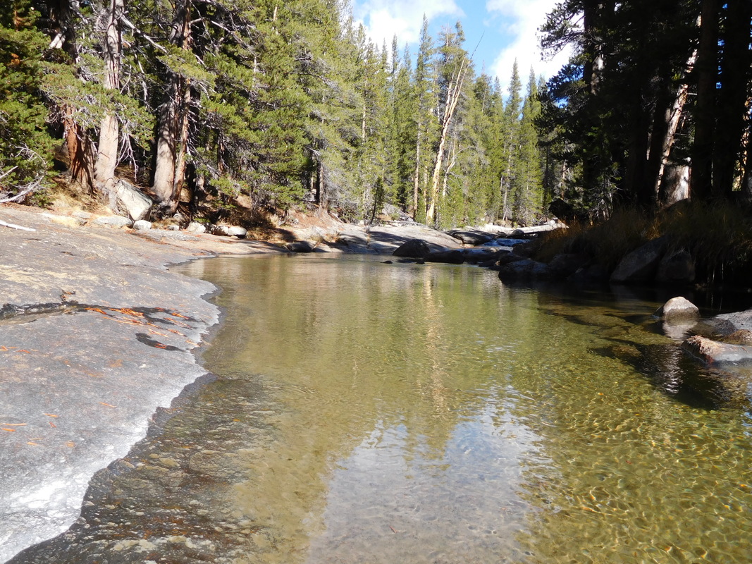 dscn1082.jpg