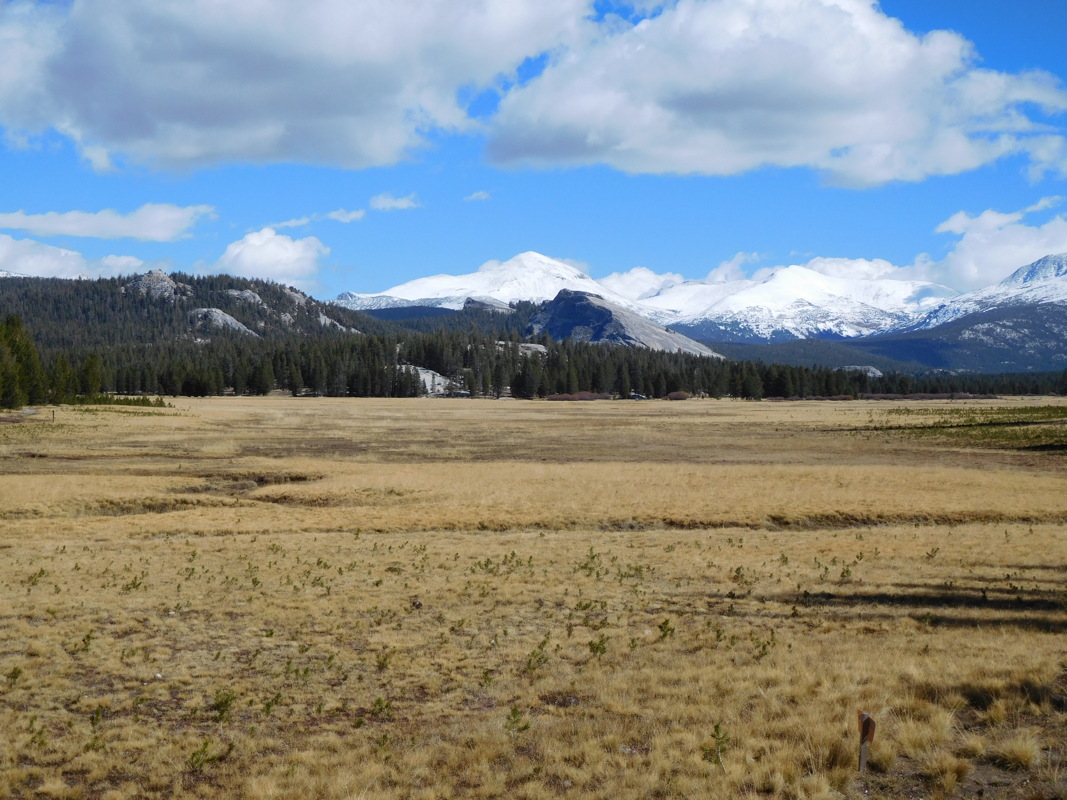 dscn1104.jpg